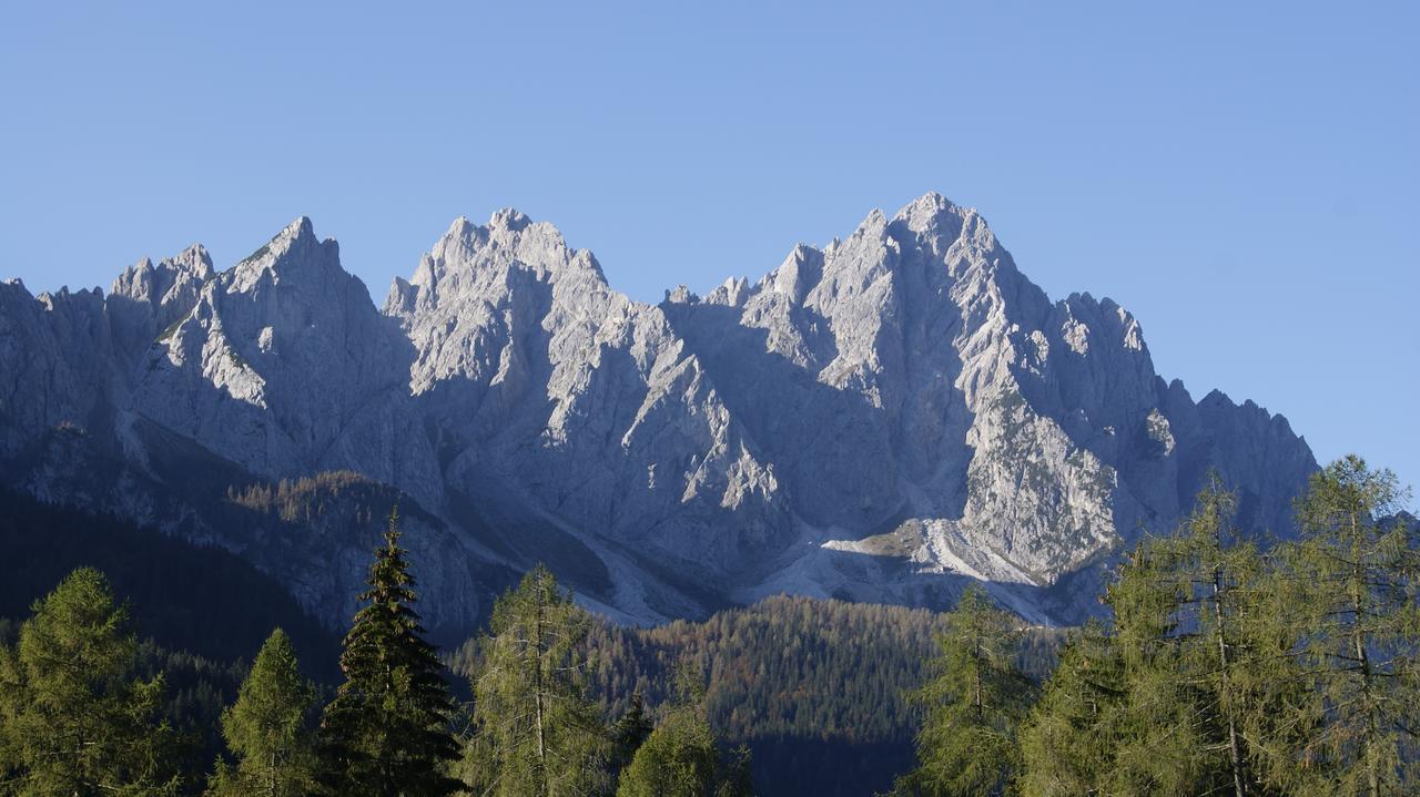 Il Cavallino - Albergo & Appartamenti Sappada Luaran gambar